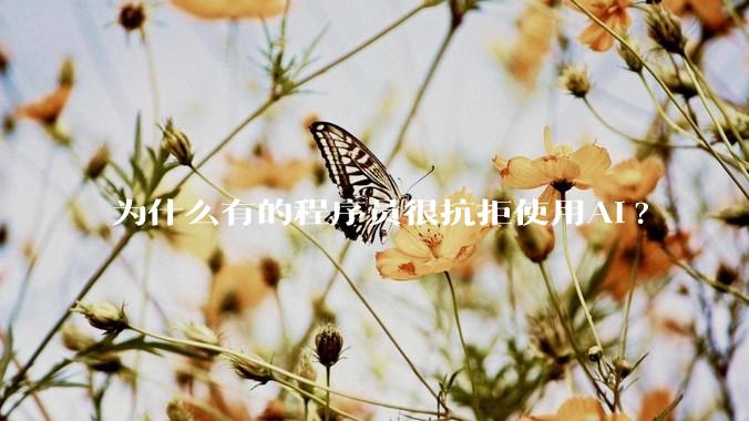 为什么有的程序员很抗拒使用Ai?