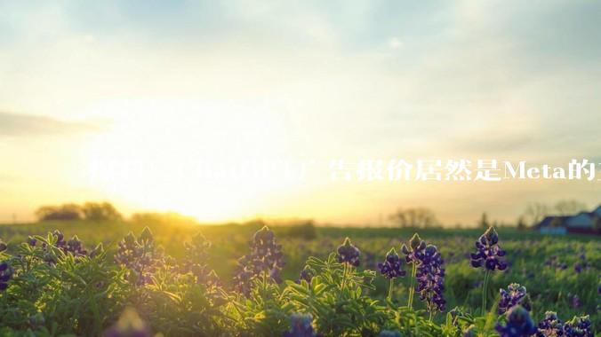 爆料！ChatGPT广告报价居然是Meta的三倍_OpenAI_Google_服务
