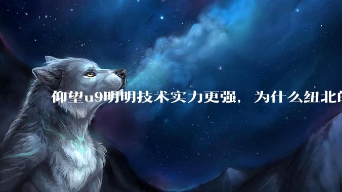 仰望u9明明技术实力更强，为什么纽北的成绩没有小米su7ultra好？