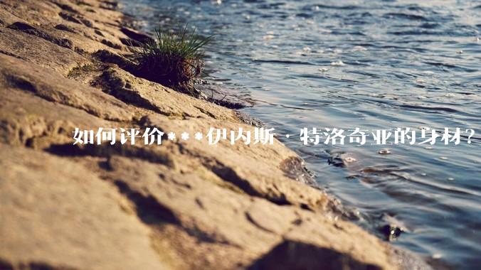 如何评价***伊内斯·特洛奇亚的身材？