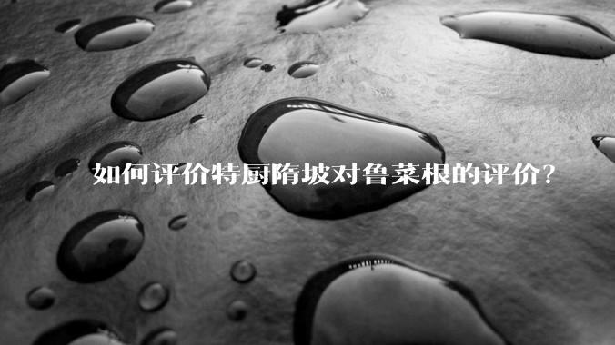 如何评价特厨隋坡对鲁菜根的评价？