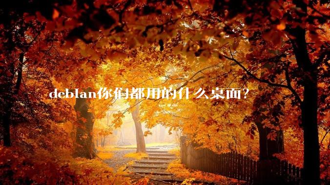 debian你们都用的什么桌面？