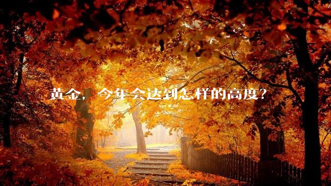 黄金，今年会达到怎样的高度？