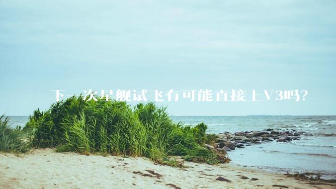 下一次星舰试飞有可能直接上V3吗？