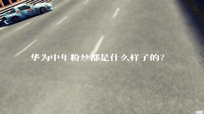 华为中年粉丝都是什么样子的？
